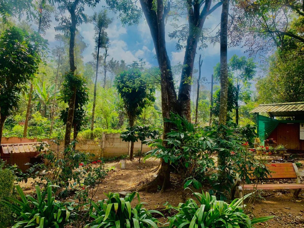 Shrenya Orchidz-Coorg Nature Stay Tulsa Exterior foto