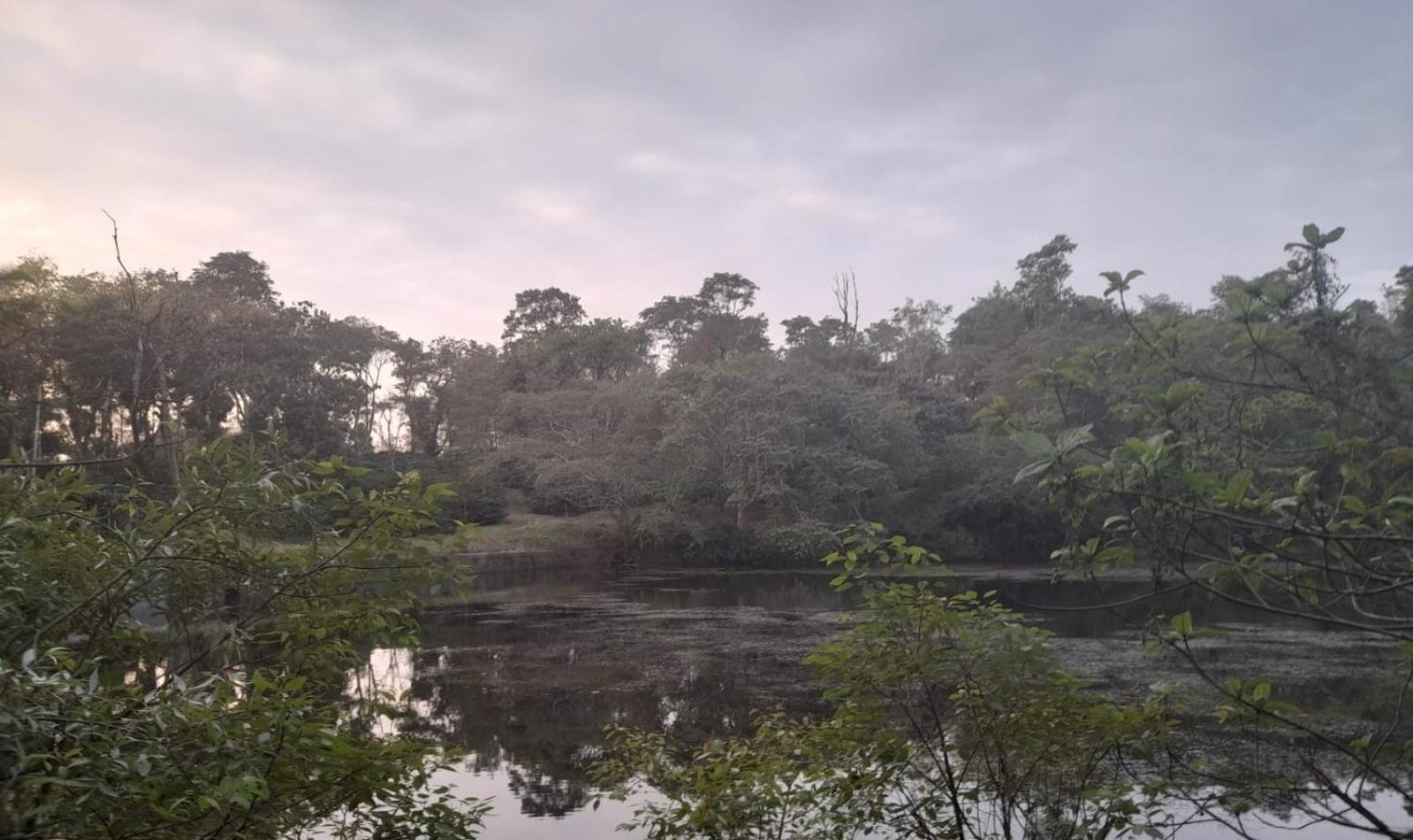 Shrenya Orchidz-Coorg Nature Stay Tulsa Exterior foto