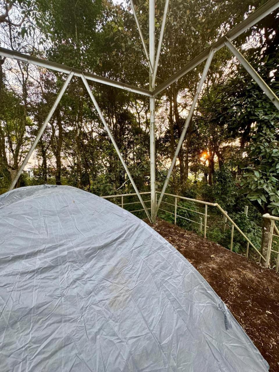 Shrenya Orchidz-Coorg Nature Stay Tulsa Exterior foto